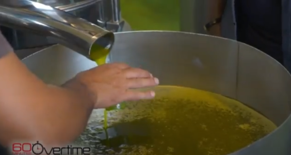 过期的橄榄油怎么处理_过期橄榄油处理方案_过期橄榄油处理方法