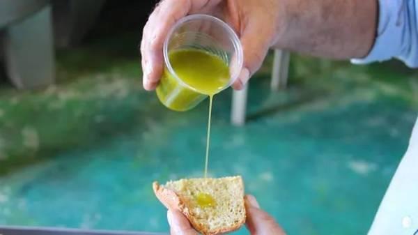 过期的橄榄油怎么处理_过期橄榄油处理方案_过期橄榄油处理方法