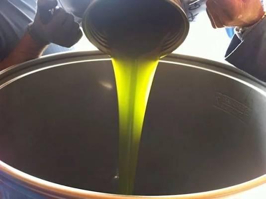 过期的橄榄油怎么处理_过期橄榄油处理方法_过期橄榄油处理方案