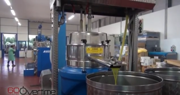 过期橄榄油处理方案_过期的橄榄油怎么处理_过期橄榄油处理方法
