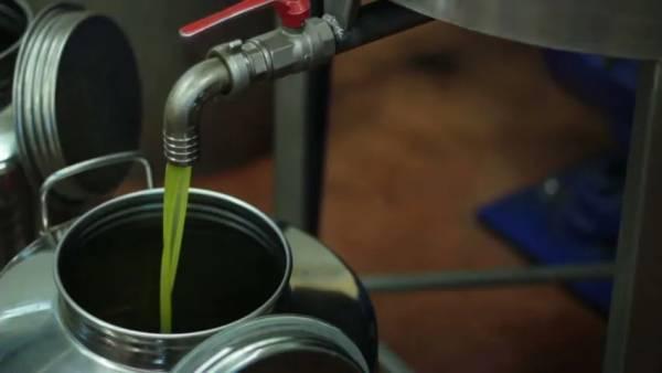 过期橄榄油处理方案_过期的橄榄油怎么处理_过期橄榄油处理方法
