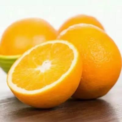 脐橙在冰箱可以放多久_脐橙放冰箱好还是常温好_好冰箱常温放脐橙好吗