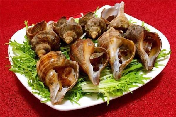 海螺没煮熟能吃吗 海螺的头部能吃吗