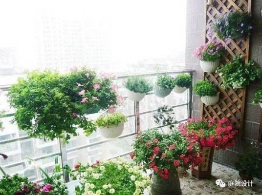 什么开花植物适合种阳台_阳台开花植物种适合什么花盆_阳台开花植物种适合什么土壤