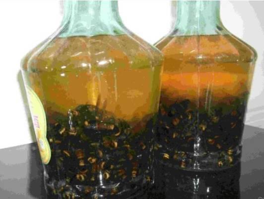 蜂巢泡黄酒的作用与功效_蜂巢泡酒视频_黄蜂巢泡酒的制作方法有哪些
