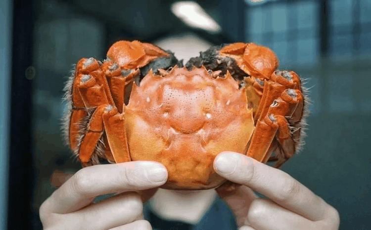 螃蟹秋天能吃吗_秋天吃蟹黄还是蟹膏_螃蟹秋天吃膏最多对吗