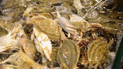 秋天适合吃螃蟹的季节_螃蟹秋天吃膏最多对吗_螃蟹秋天能吃吗