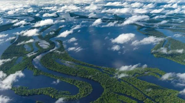 亚马逊河在哪_亚马逊河流是哪个国家的_亚马逊河流有多长