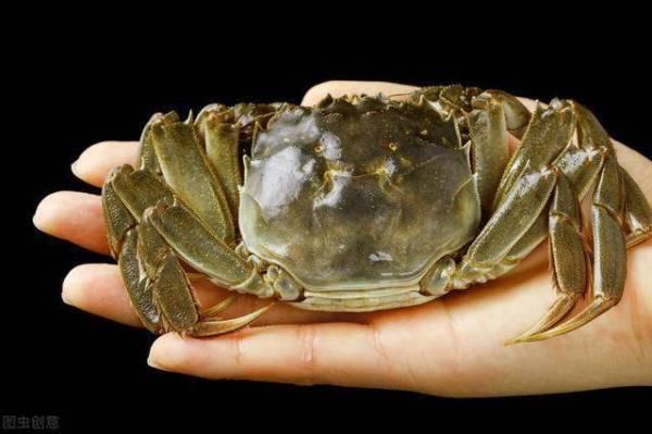 螃蟹保存买来能放多久_买来的螃蟹怎么保存_螃蟹买回来放冰箱