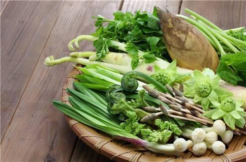 蔬菜根茎类有哪些_蔬菜根茎类介绍图片_根茎类蔬菜介绍