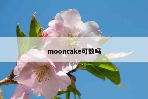 mooncake可数吗