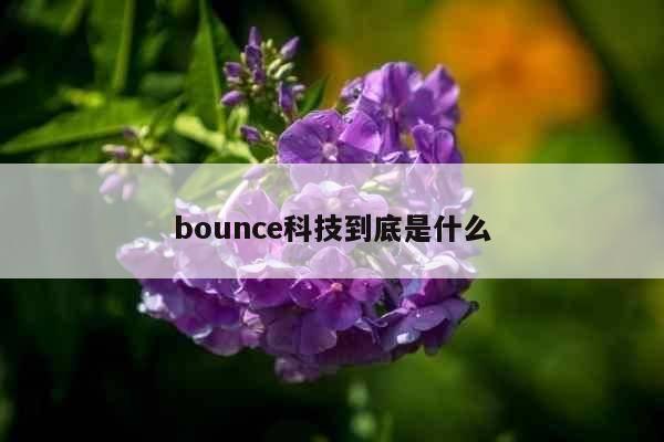 bounce科技到底是什么
