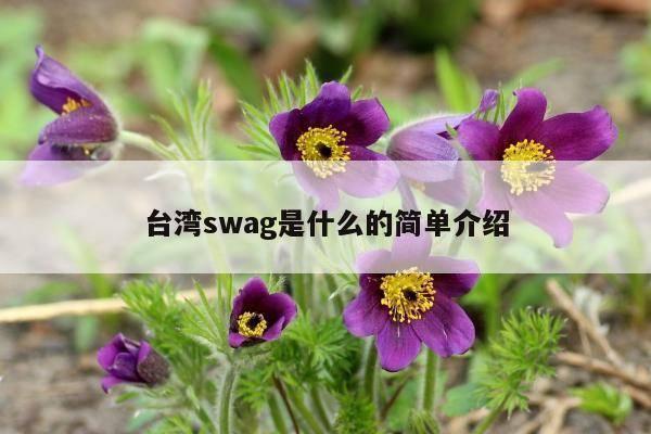 台湾swag是什么的简单介绍