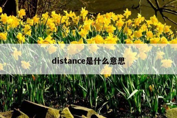 distance是什么意思