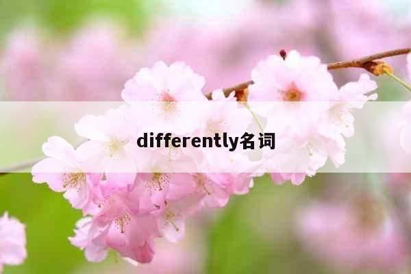 differently名词