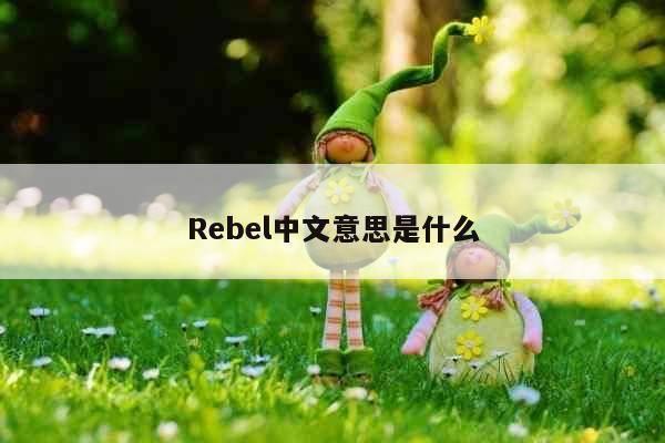 Rebel中文意思是什么