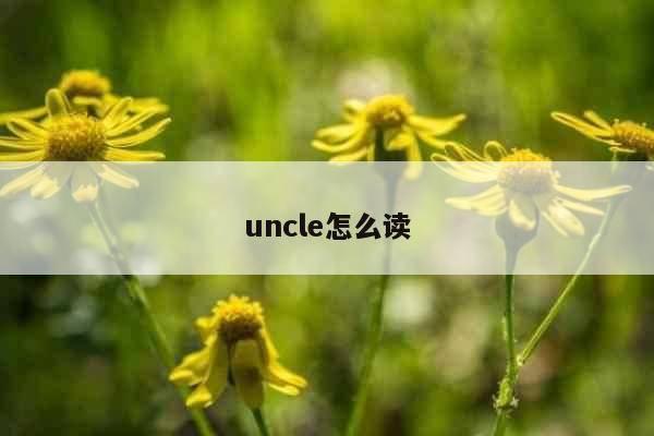 uncle怎么读