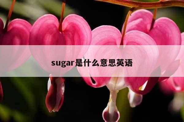 sugar是什么意思英语
