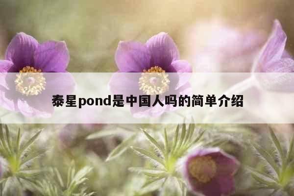 泰星pond是中国人吗的简单介绍