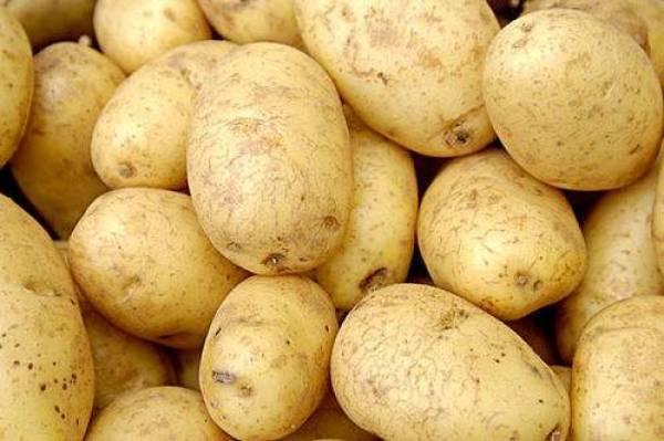 如何判断土豆的新鲜，怎样辨别土豆是否变质？